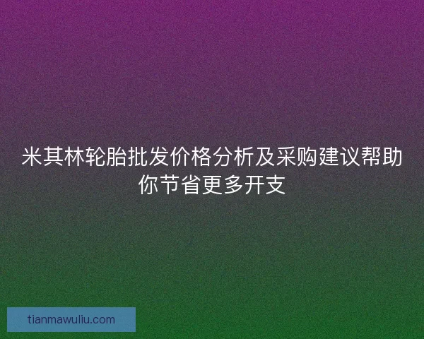 米其林轮胎批发价格分析及采购建议帮助你节省更多开支