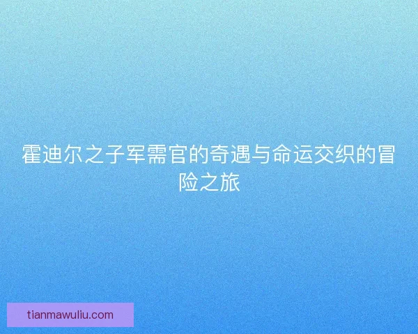 霍迪尔之子军需官的奇遇与命运交织的冒险之旅
