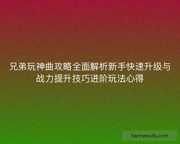 兄弟玩神曲攻略全面解析新手快速升级与战力提升技巧进阶玩法心得