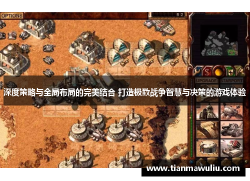 深度策略与全局布局的完美结合 打造极致战争智慧与决策的游戏体验