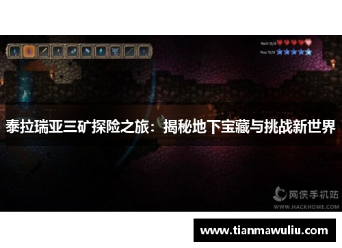 泰拉瑞亚三矿探险之旅：揭秘地下宝藏与挑战新世界