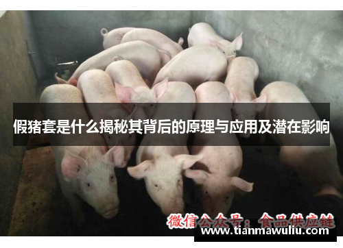 假猪套是什么揭秘其背后的原理与应用及潜在影响