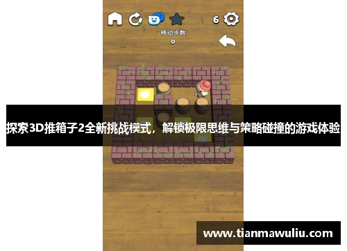 探索3D推箱子2全新挑战模式，解锁极限思维与策略碰撞的游戏体验