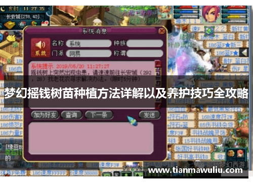 梦幻摇钱树苗种植方法详解以及养护技巧全攻略