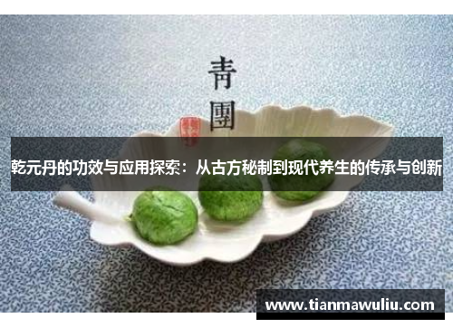 乾元丹的功效与应用探索：从古方秘制到现代养生的传承与创新