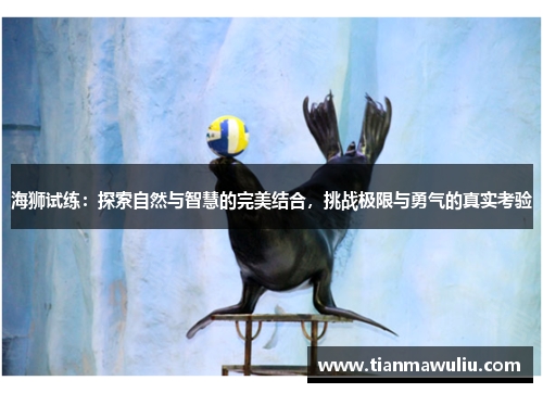 海狮试练：探索自然与智慧的完美结合，挑战极限与勇气的真实考验